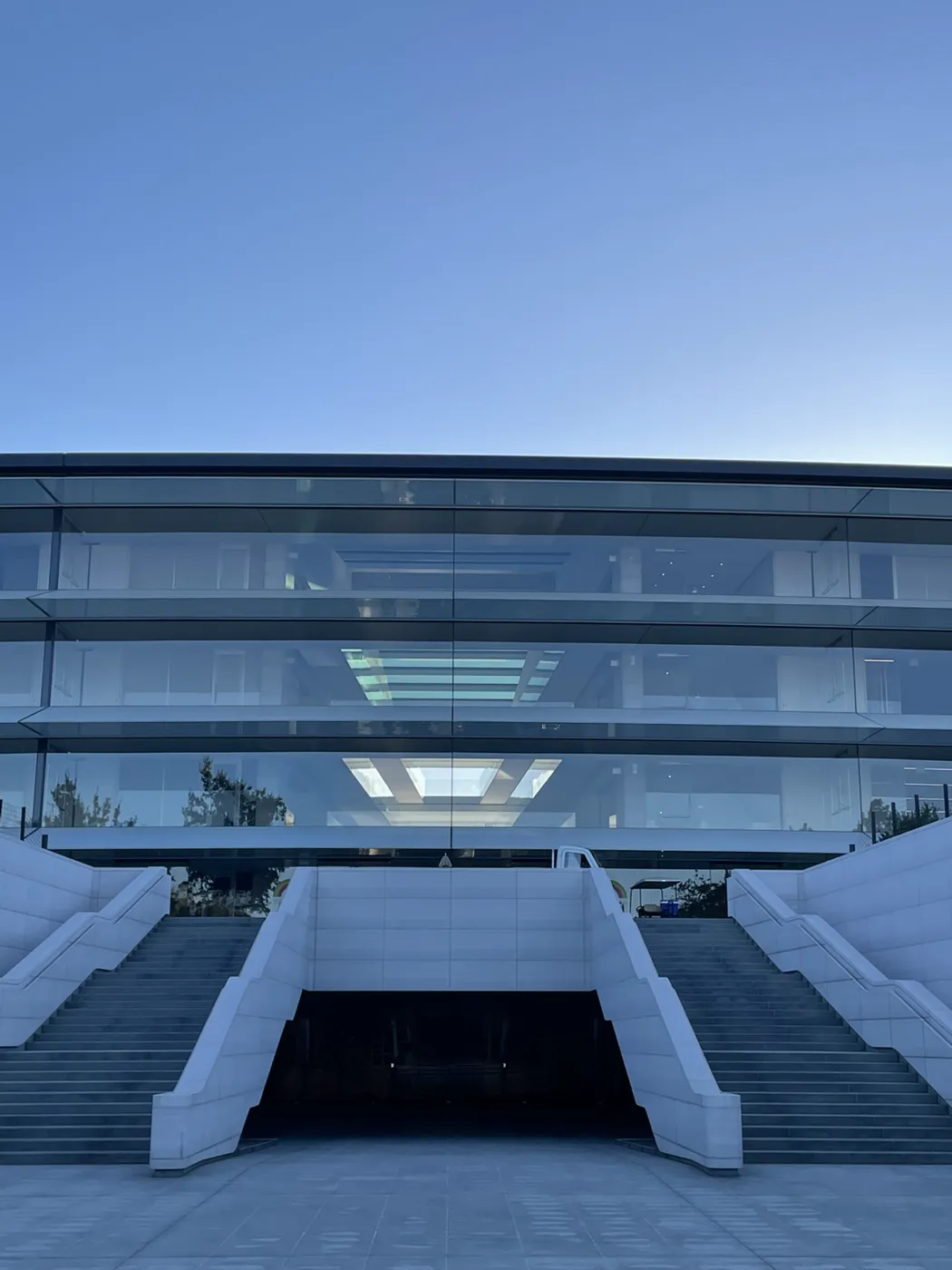A sunken entry head-on at dusk — twin flights falling symmetrically either side beneath a curved glass facade
