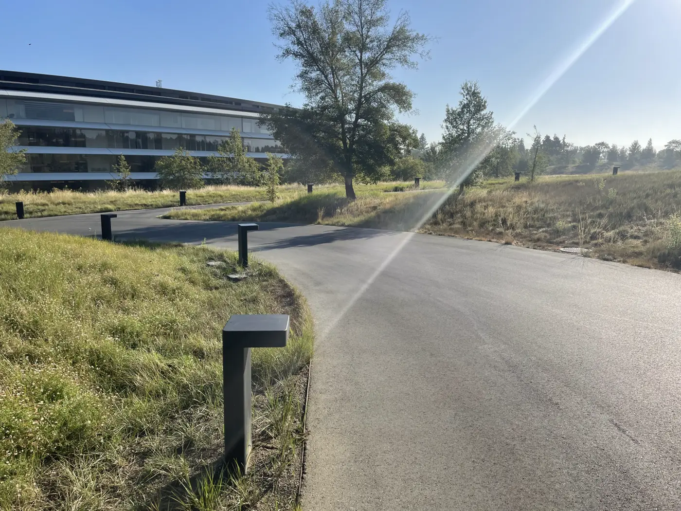 Run of black cantilevered light bollards along a meadow path, heavy sun flare