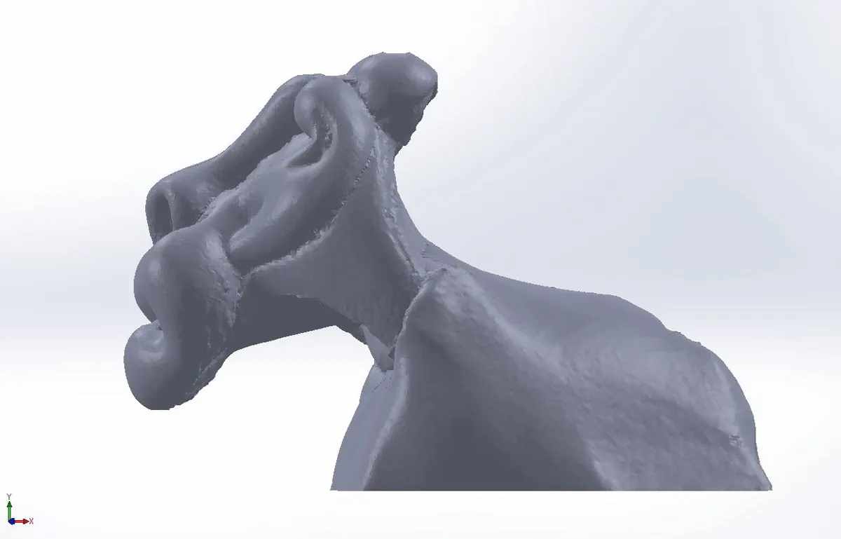 CAD view of the 3D-scanned lion's head model, sectioned to pick the casting profile
