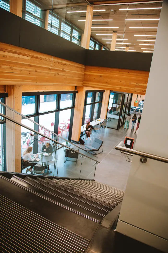 View from the top landing over the dining hall, timber ceiling and glass beyond